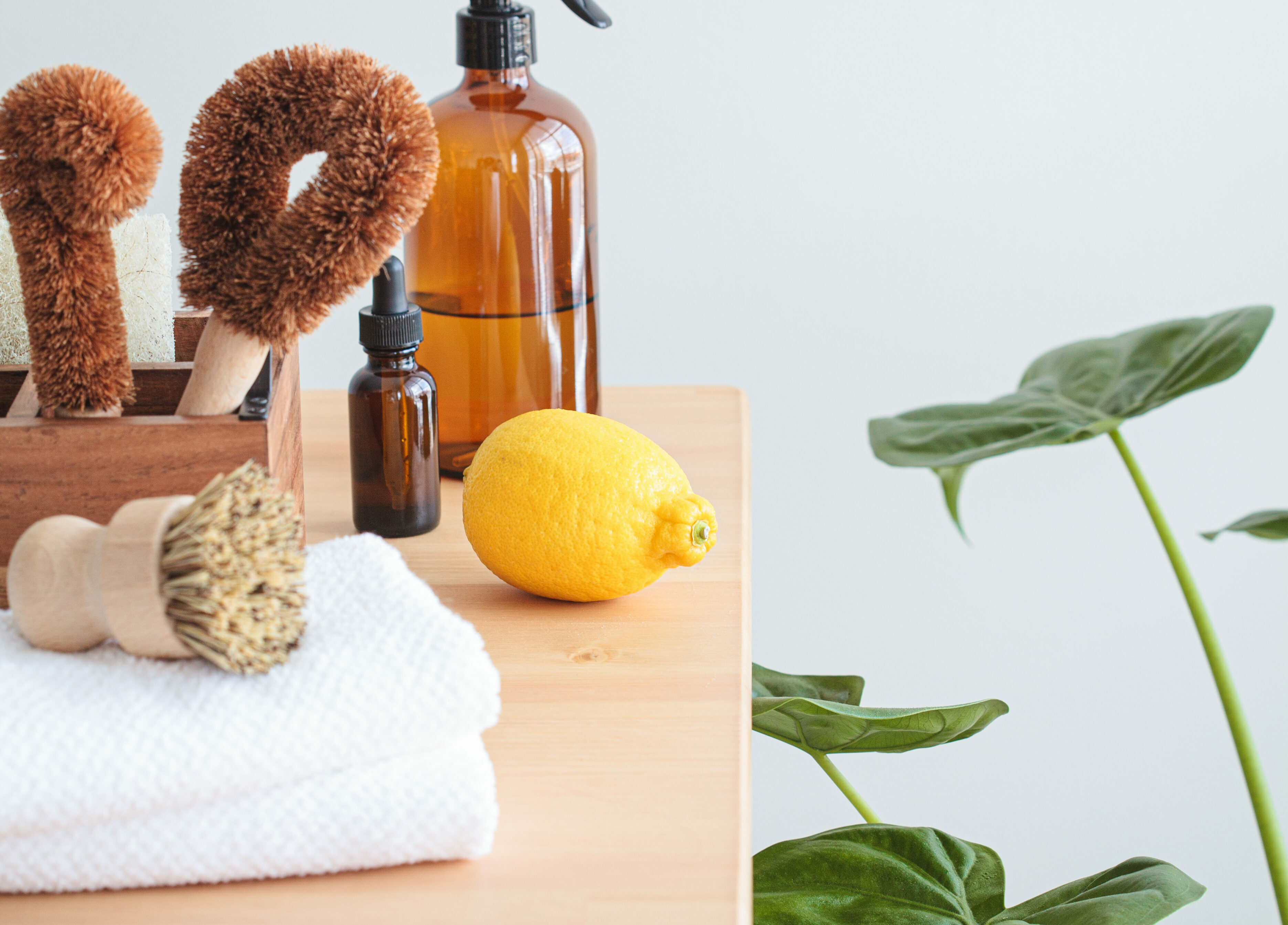 Top 5 Healthy Habits for a More Sustainable Home in 2025