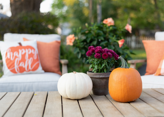 How to Create a Cozy, Leaf-Inspired Outdoor Space for Fall in Denver🍂