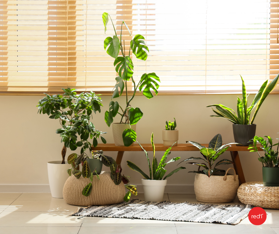 Spring Home Refresh Tips for Denver Homeowners: Create a Healthier, Energy-Efficient Home